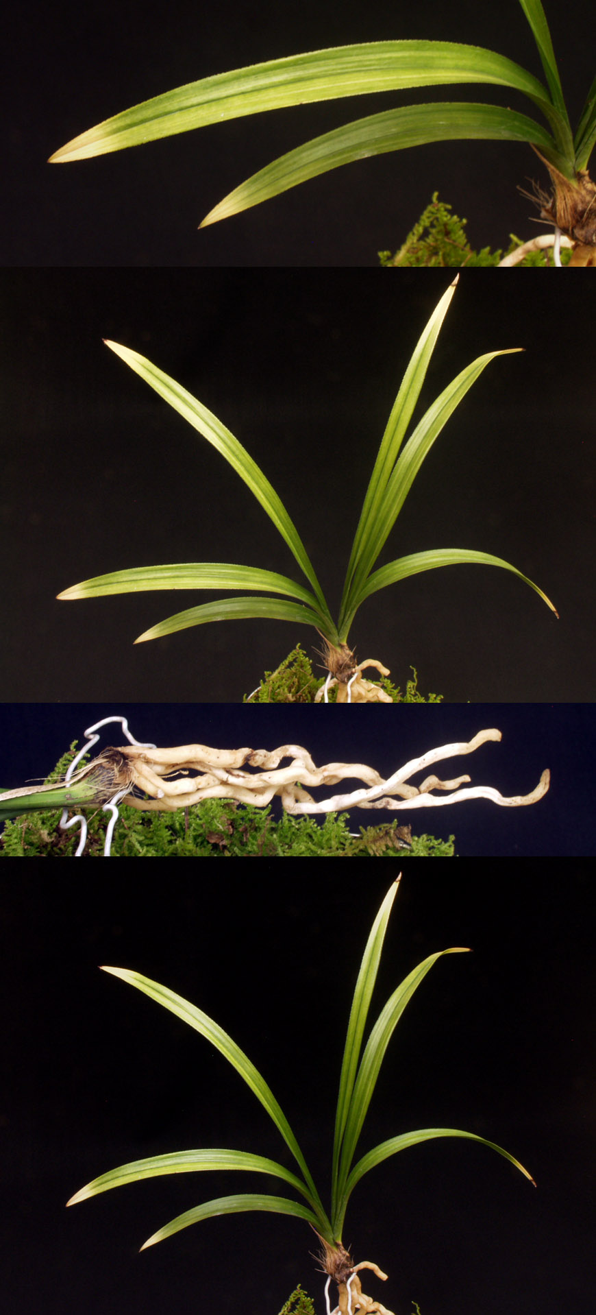 ������ ū������ �� �� �ֽ��ϴ�.