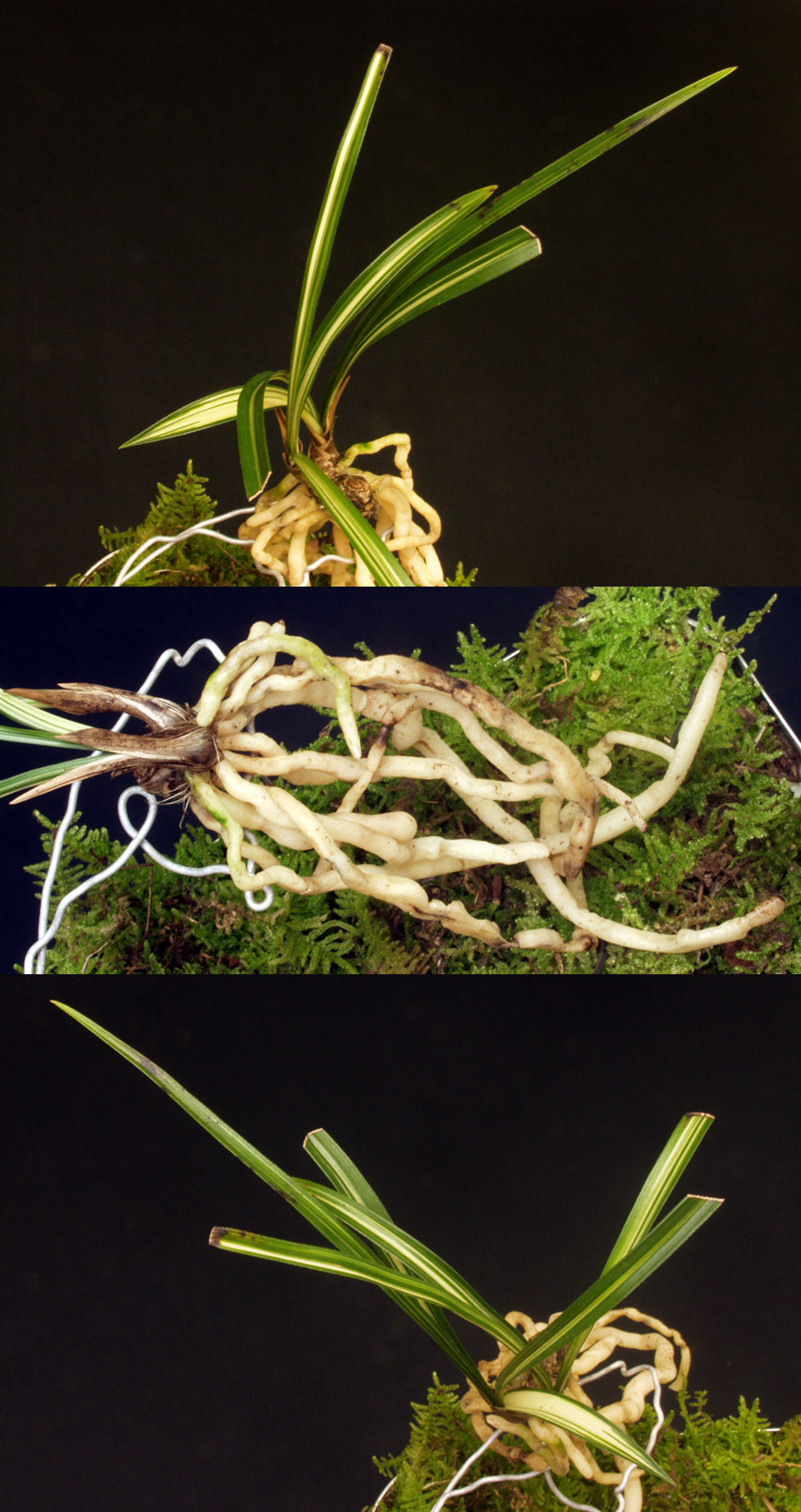 ������ ū������ �� �� �ֽ��ϴ�.