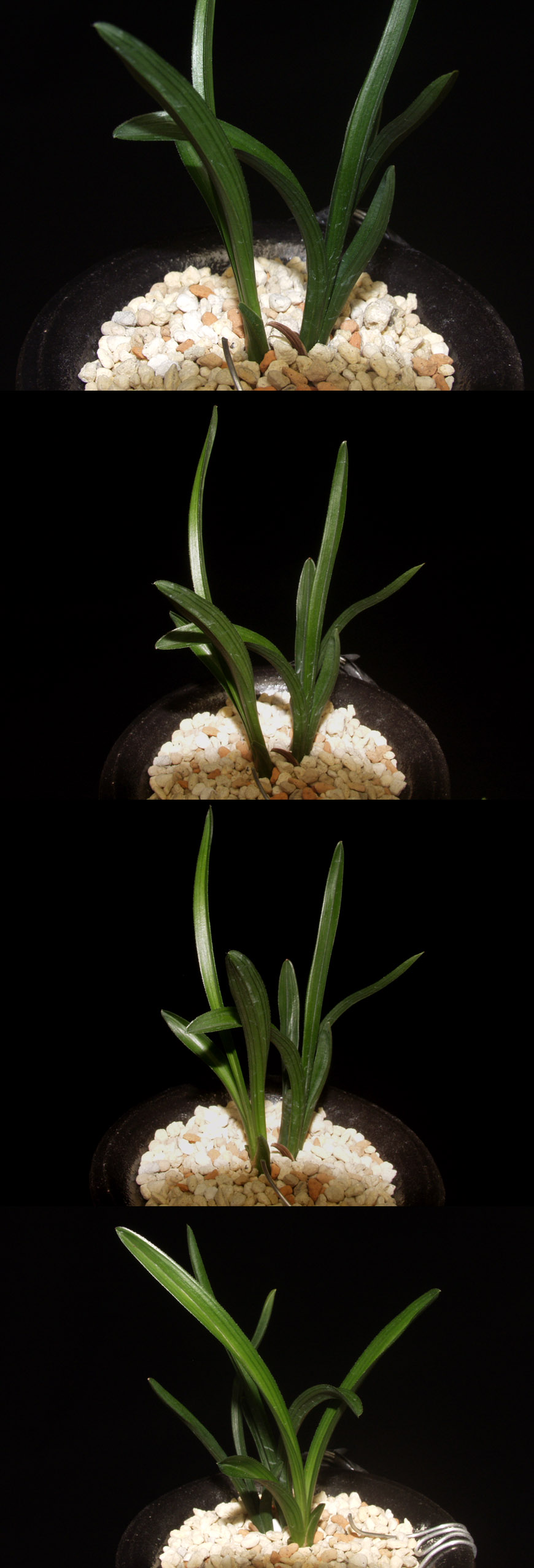 ������ ū������ �� �� �ֽ��ϴ�.