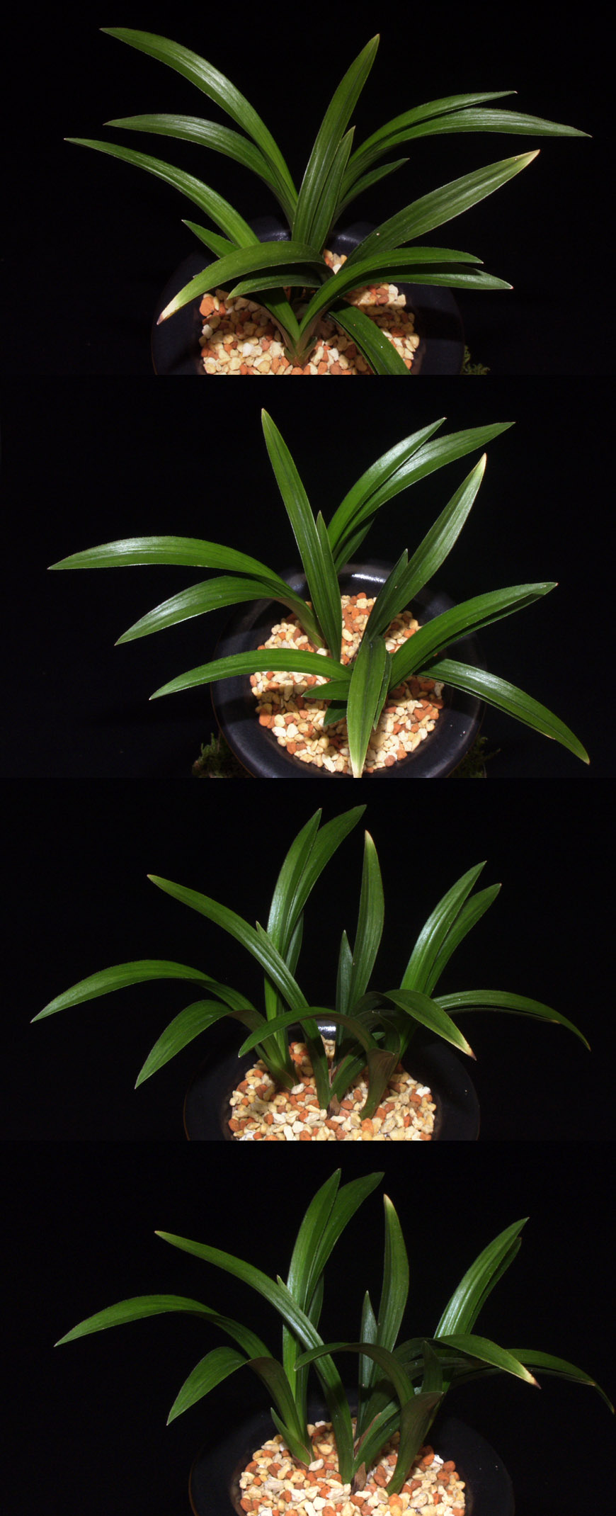 ������ ū������ �� �� �ֽ��ϴ�.