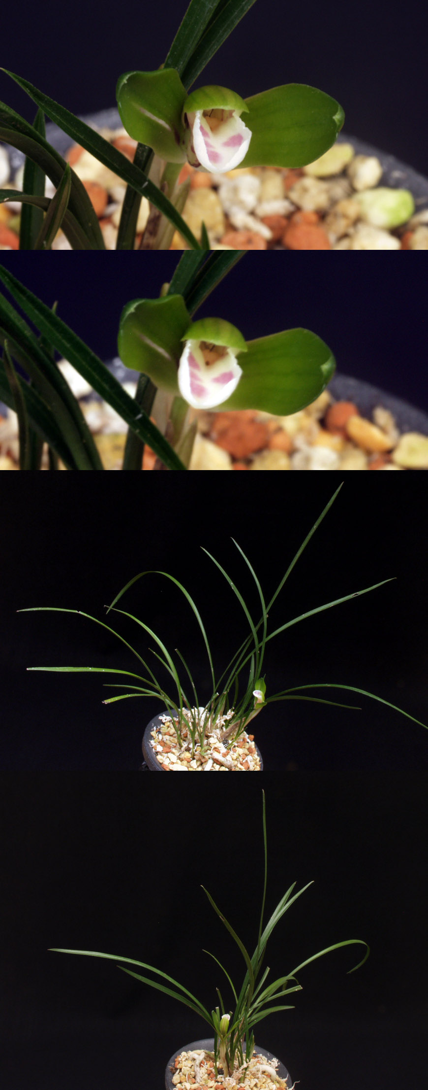 ������ ū������ �� �� �ֽ��ϴ�.