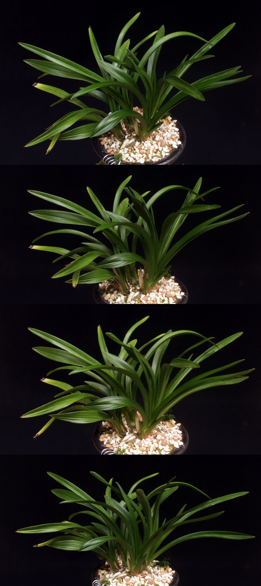 ������ ū������ �� �� �ֽ��ϴ�.