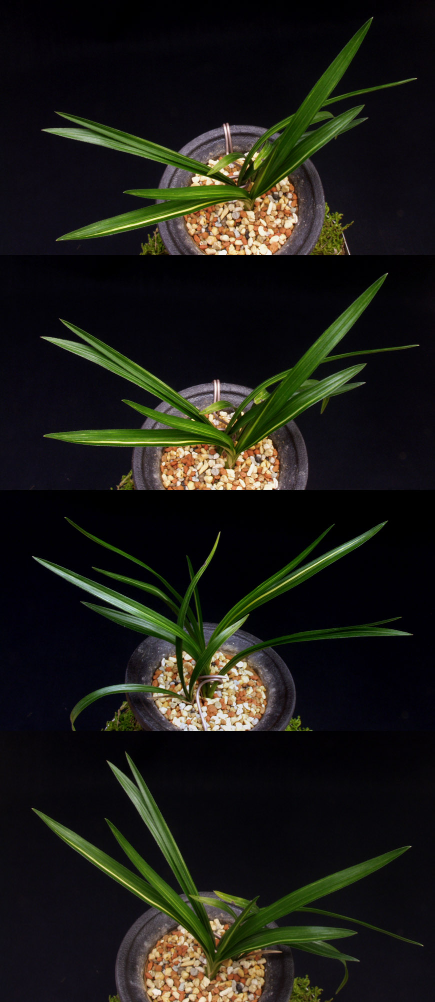 ������ ū������ �� �� �ֽ��ϴ�.