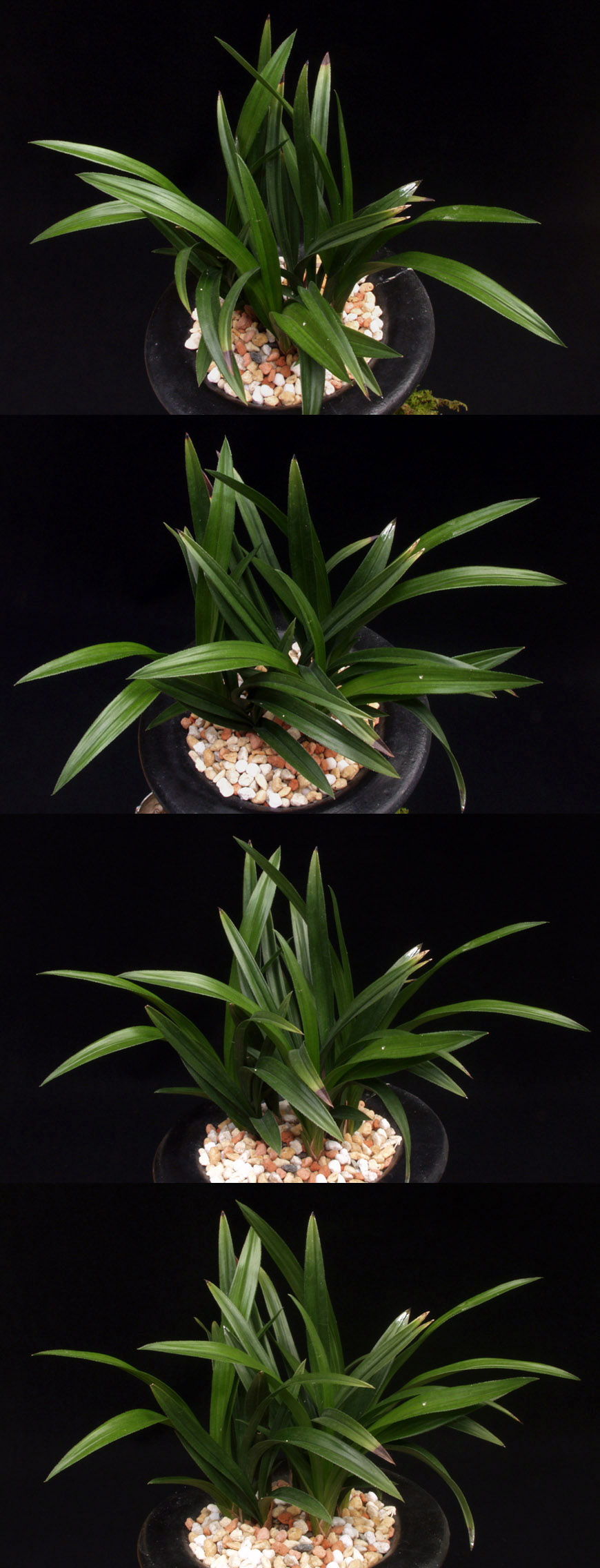 ������ ū������ �� �� �ֽ��ϴ�.