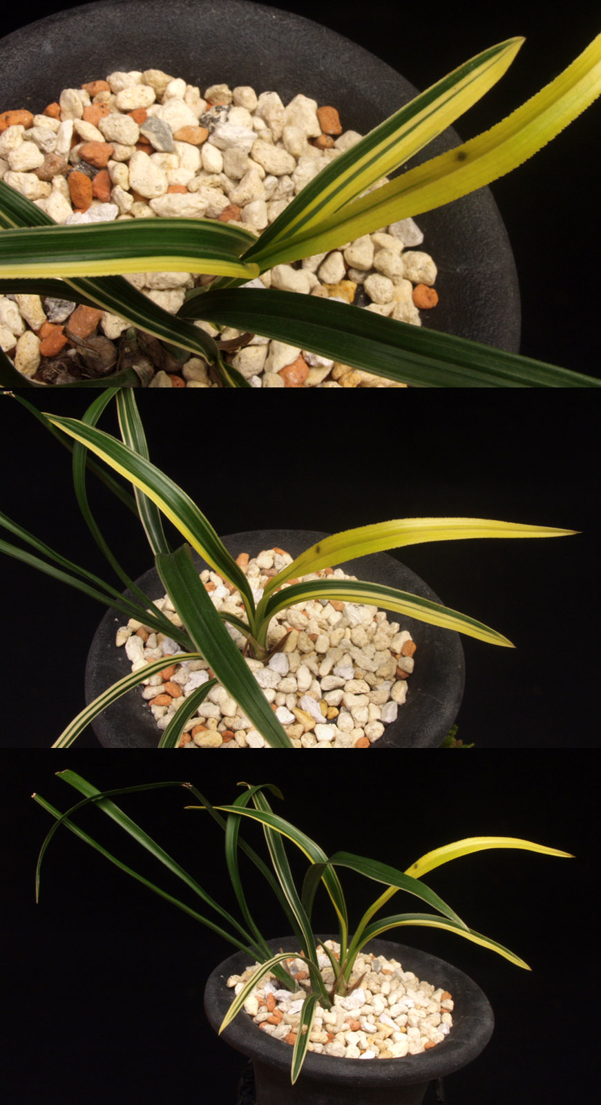 ������ ū������ �� �� �ֽ��ϴ�.