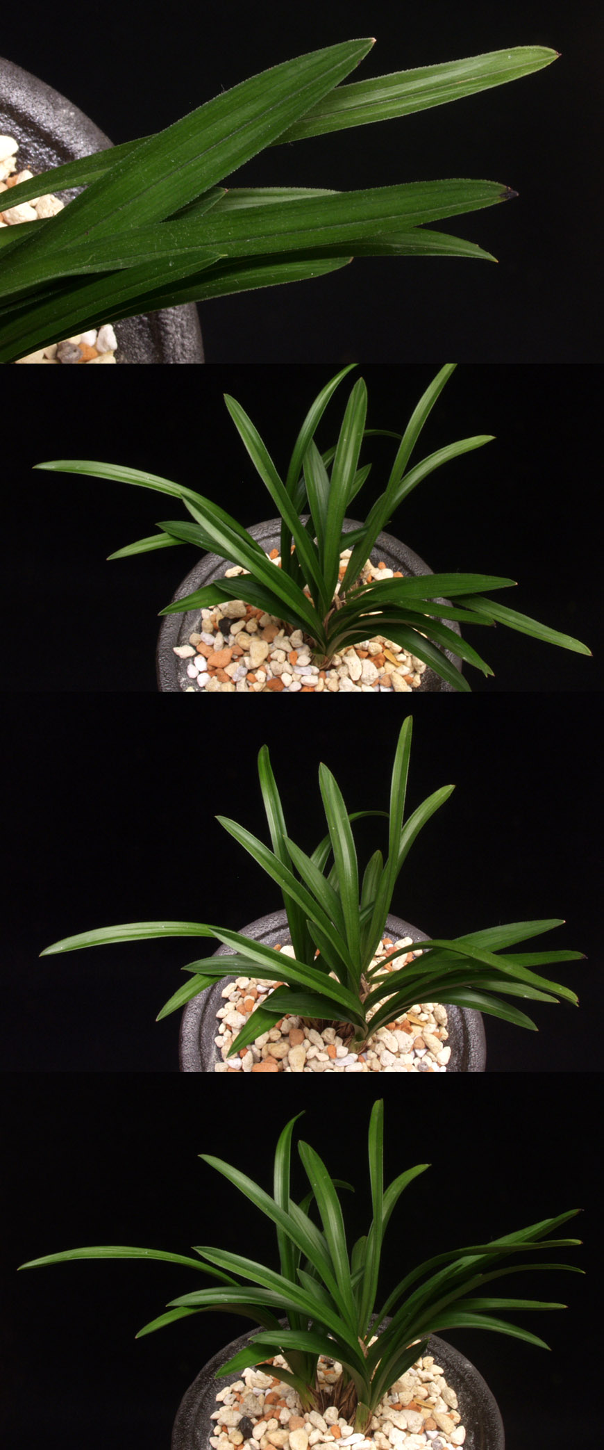 ������ ū������ �� �� �ֽ��ϴ�.