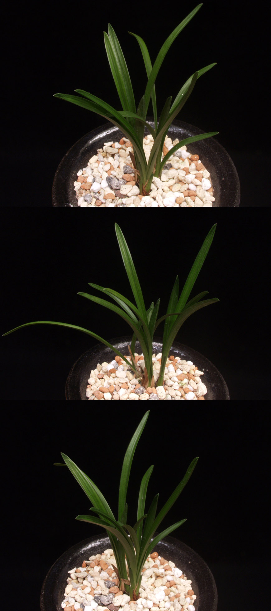 ������ ū������ �� �� �ֽ��ϴ�.