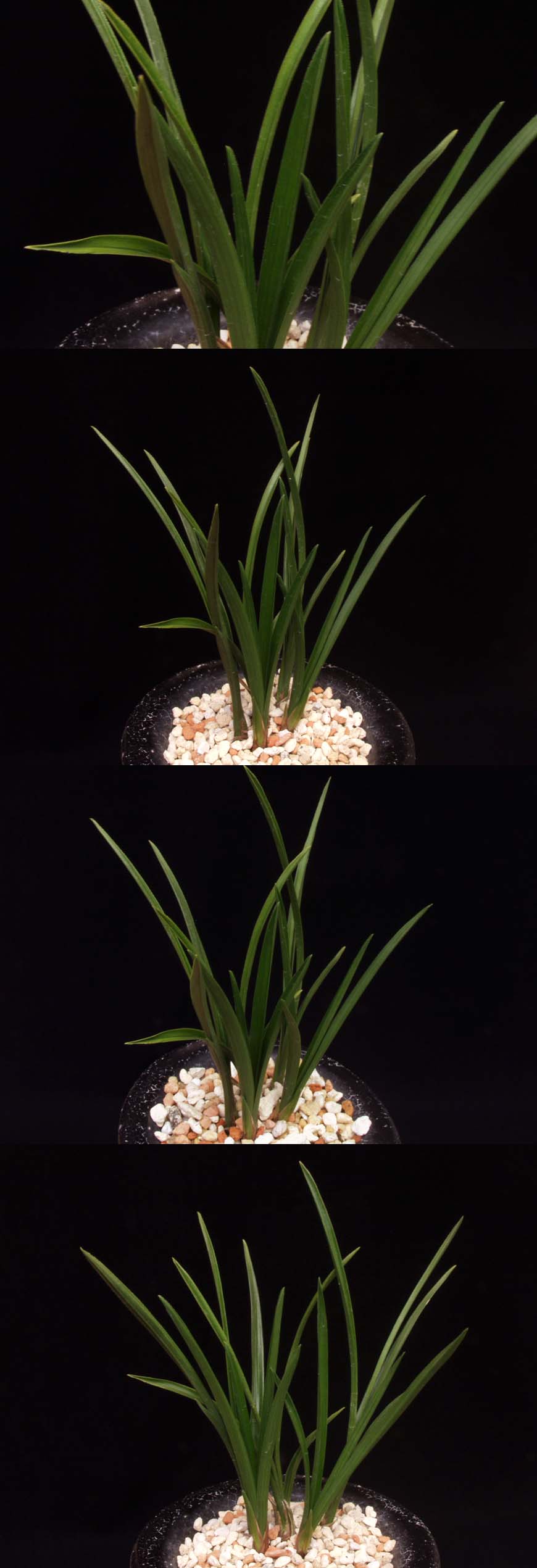 ������ ū������ �� �� �ֽ��ϴ�.