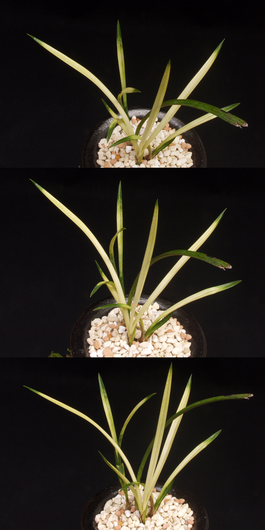 ������ ū������ �� �� �ֽ��ϴ�.