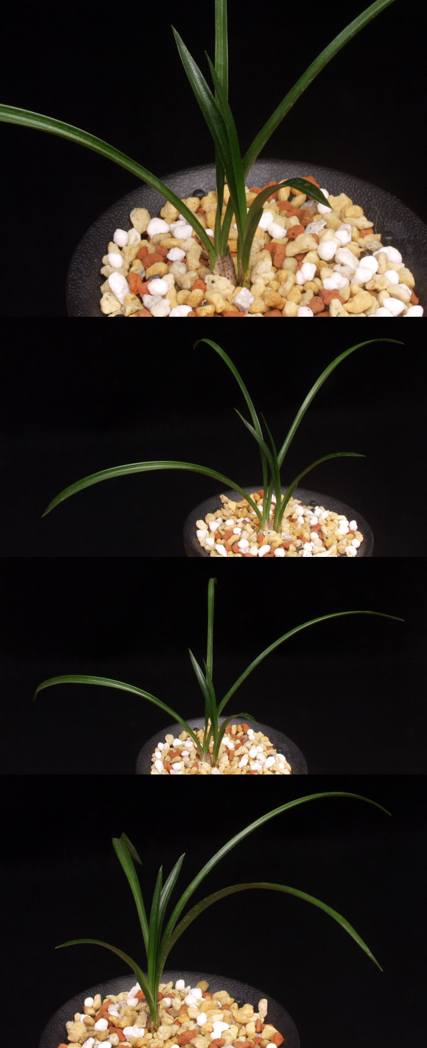 ������ ū������ �� �� �ֽ��ϴ�.