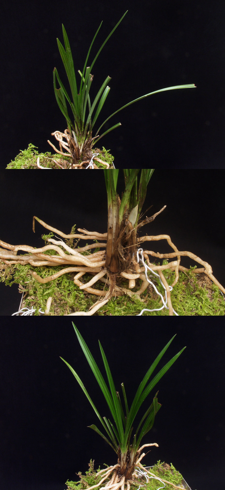 ������ ū������ �� �� �ֽ��ϴ�.