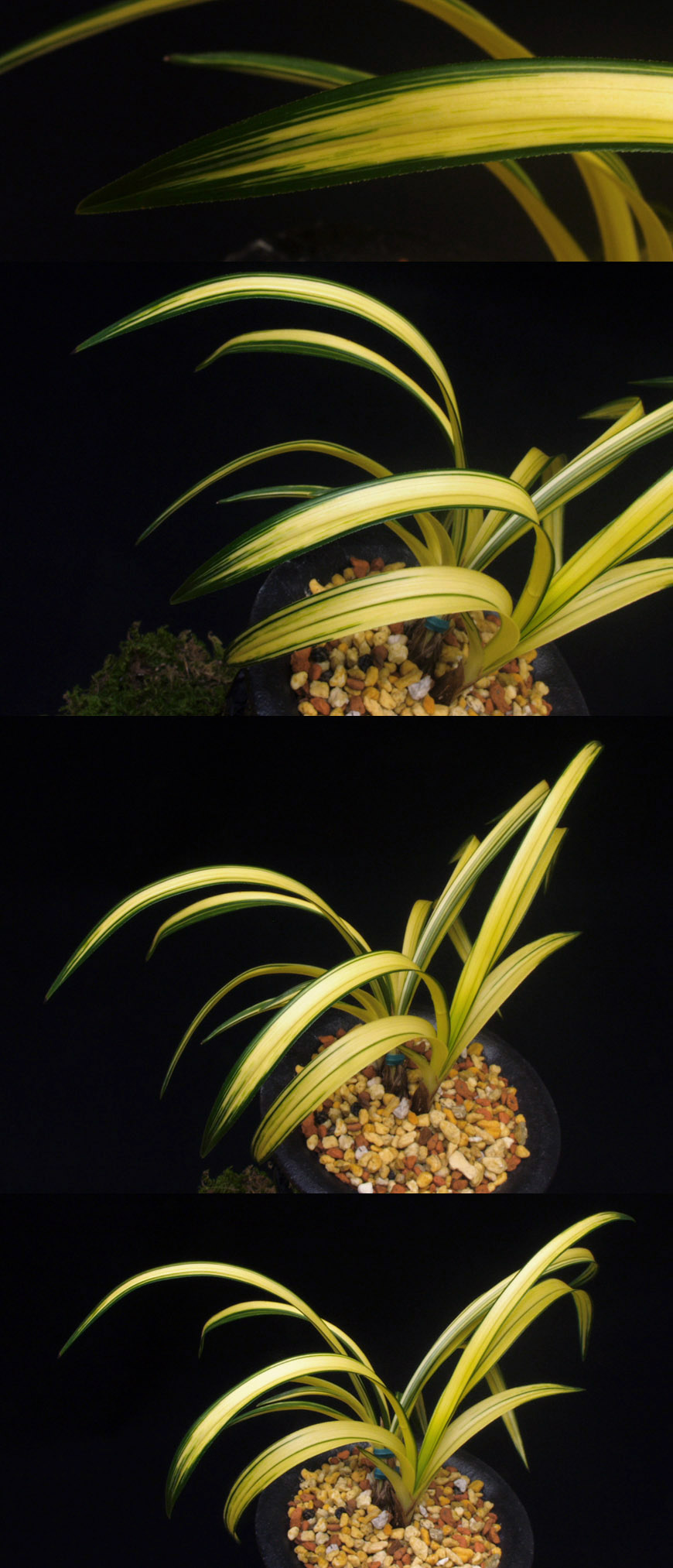 ������ ū������ �� �� �ֽ��ϴ�.