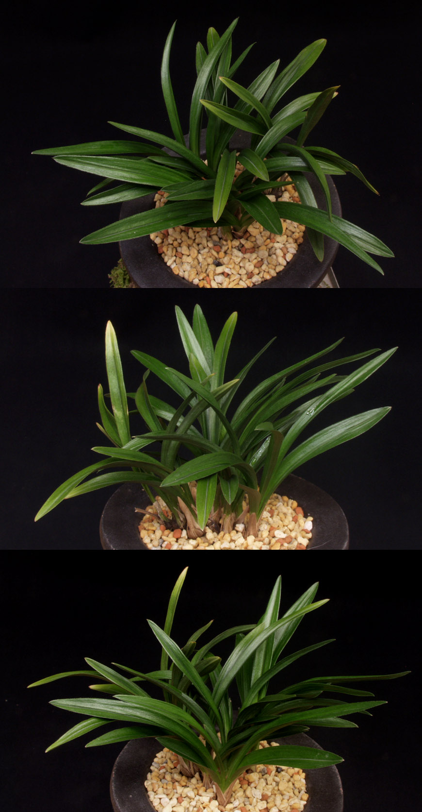 ������ ū������ �� �� �ֽ��ϴ�.