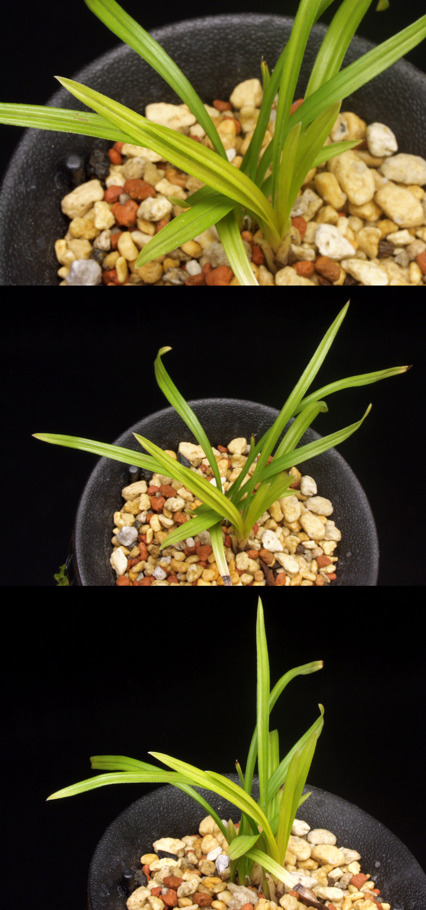 ������ ū������ �� �� �ֽ��ϴ�.