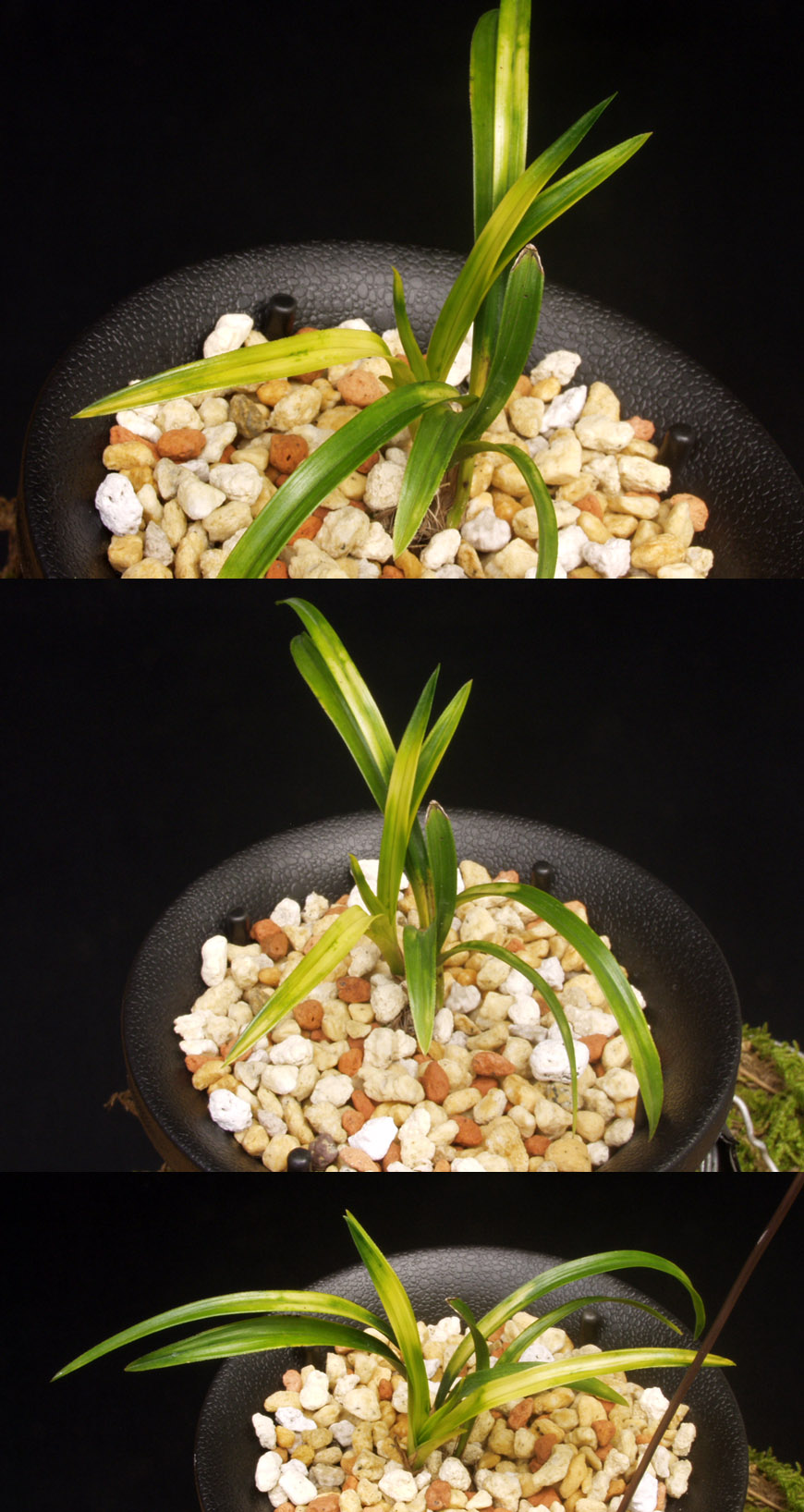 ������ ū������ �� �� �ֽ��ϴ�.