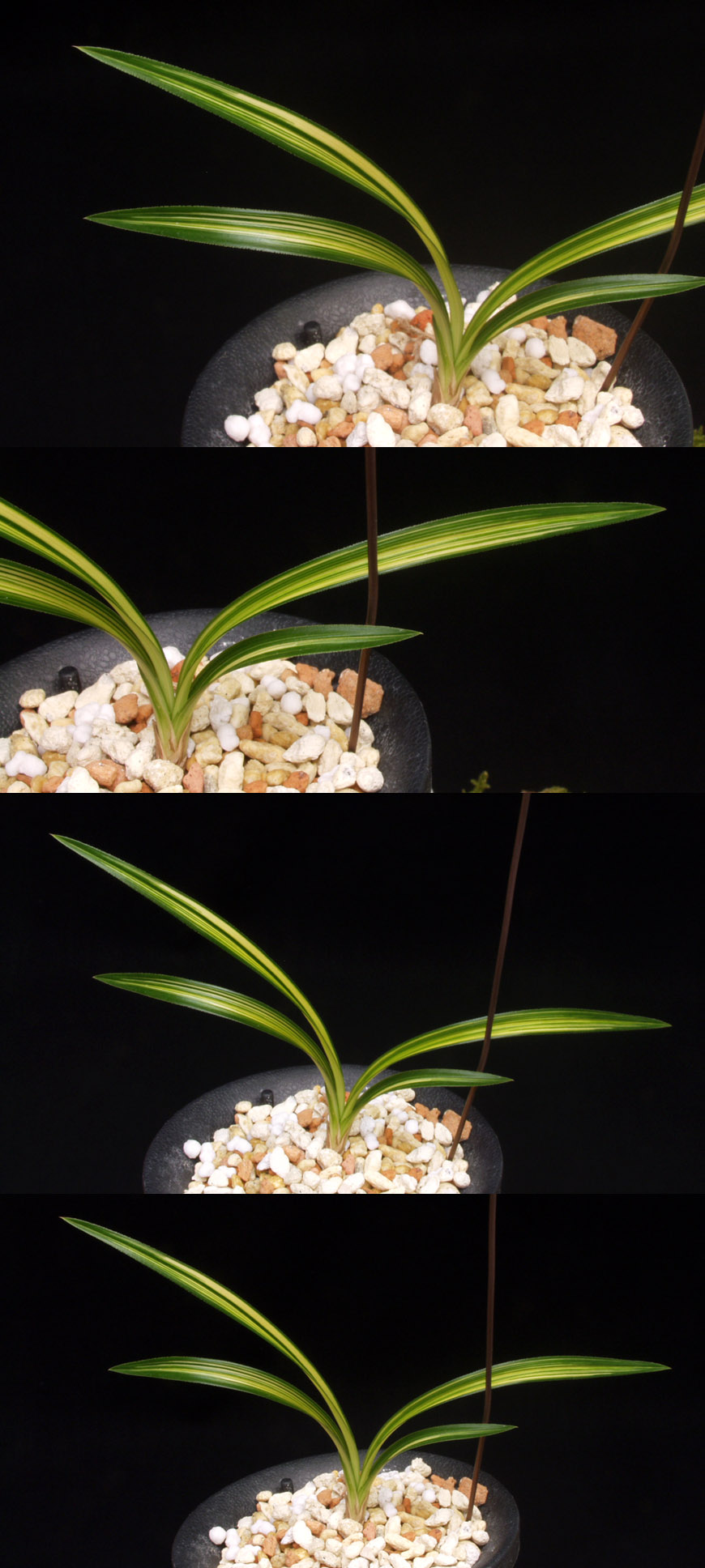 ������ ū������ �� �� �ֽ��ϴ�.