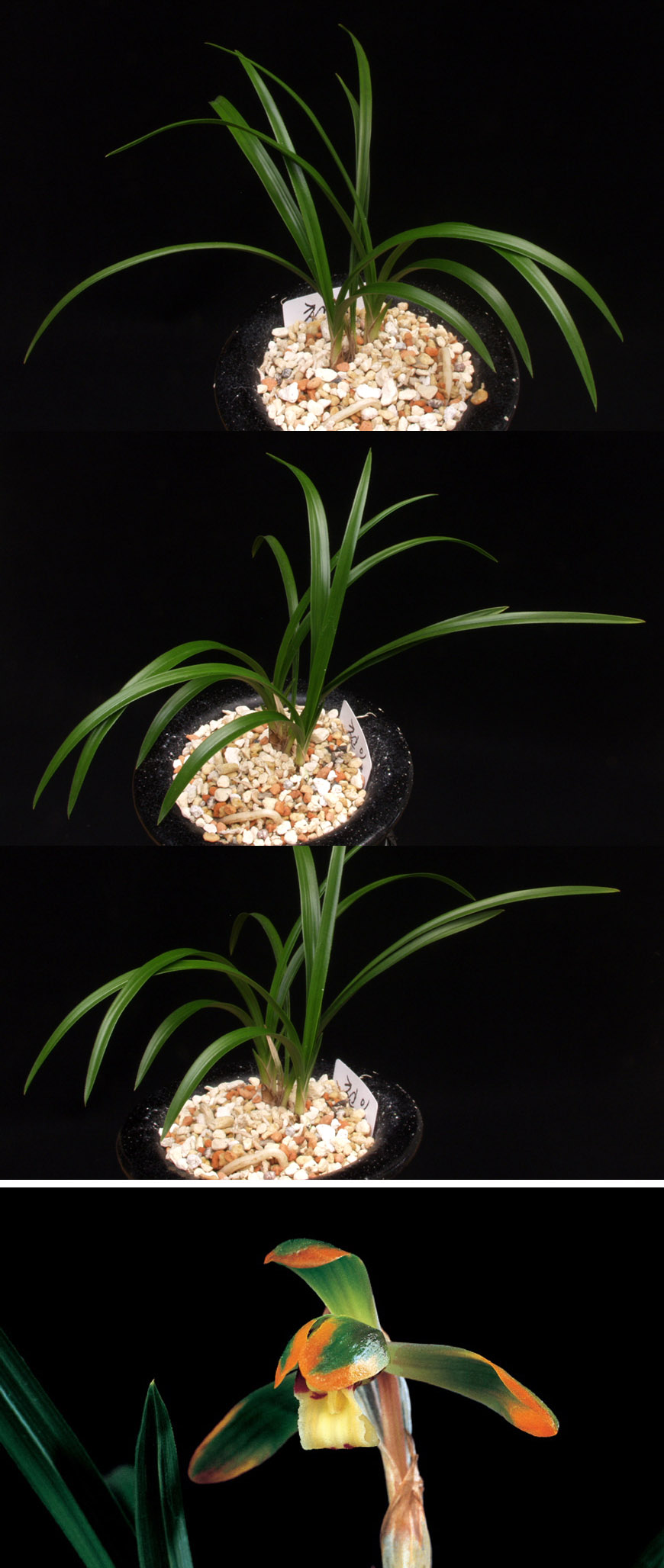 ������ ū������ �� �� �ֽ��ϴ�.