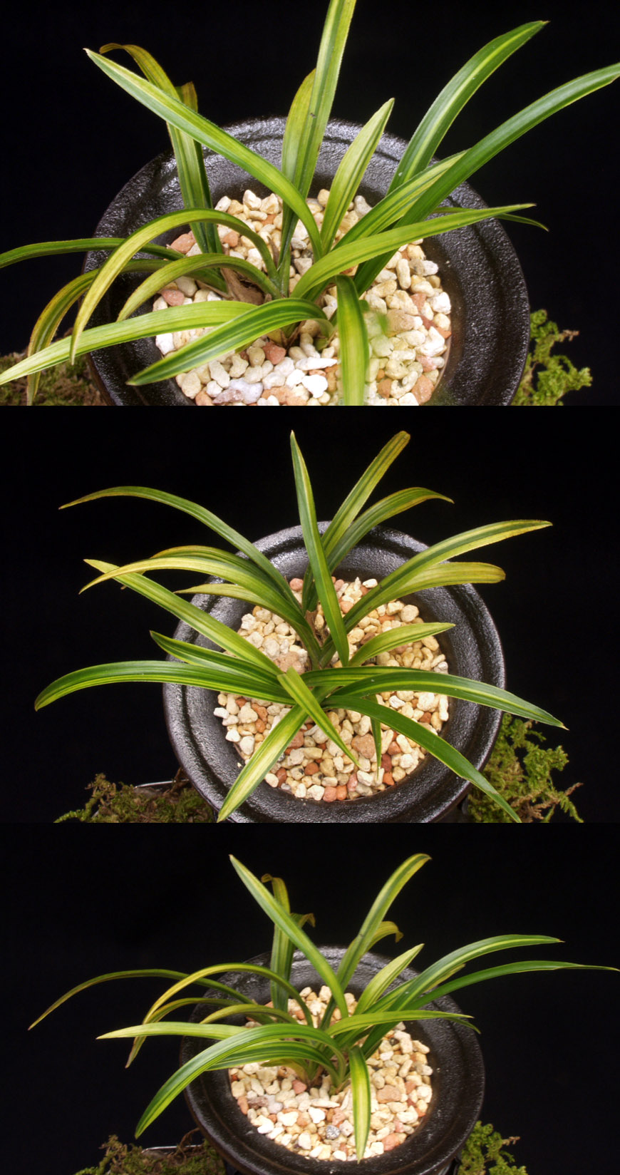 ������ ū������ �� �� �ֽ��ϴ�.