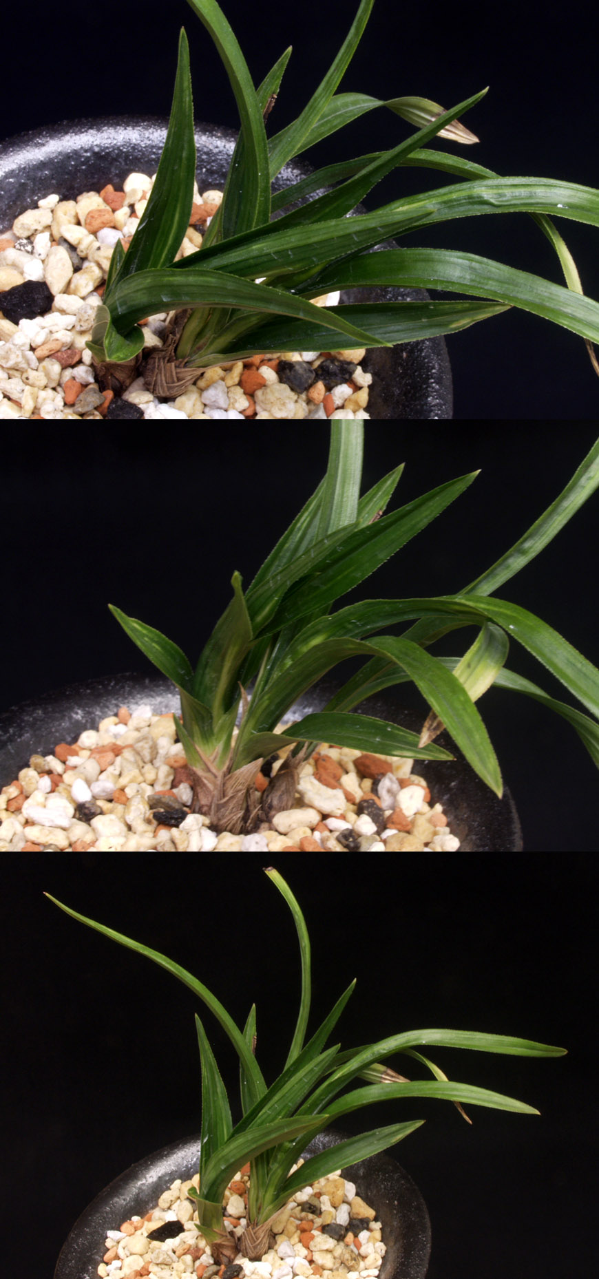 ������ ū������ �� �� �ֽ��ϴ�.