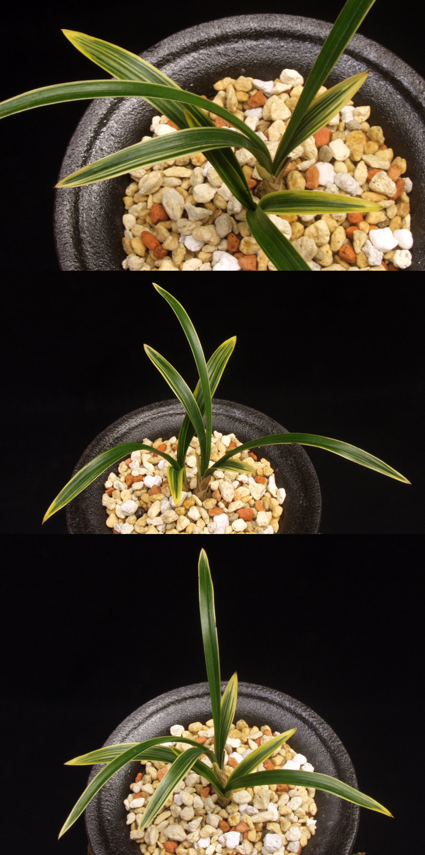 ������ ū������ �� �� �ֽ��ϴ�.