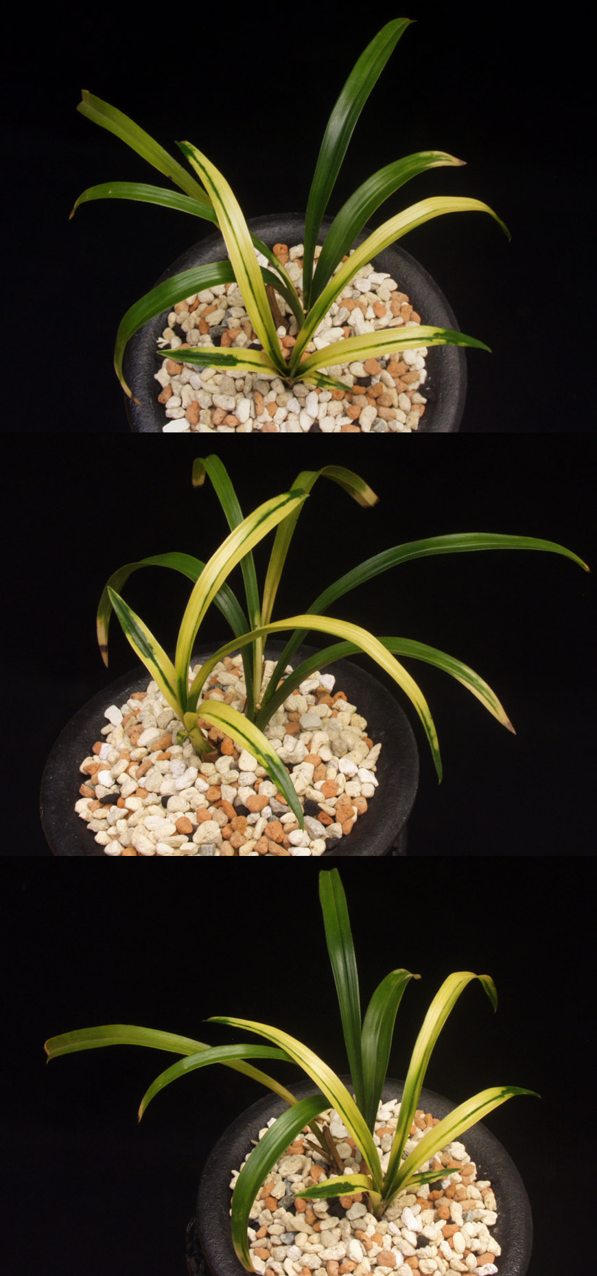 ������ ū������ �� �� �ֽ��ϴ�.