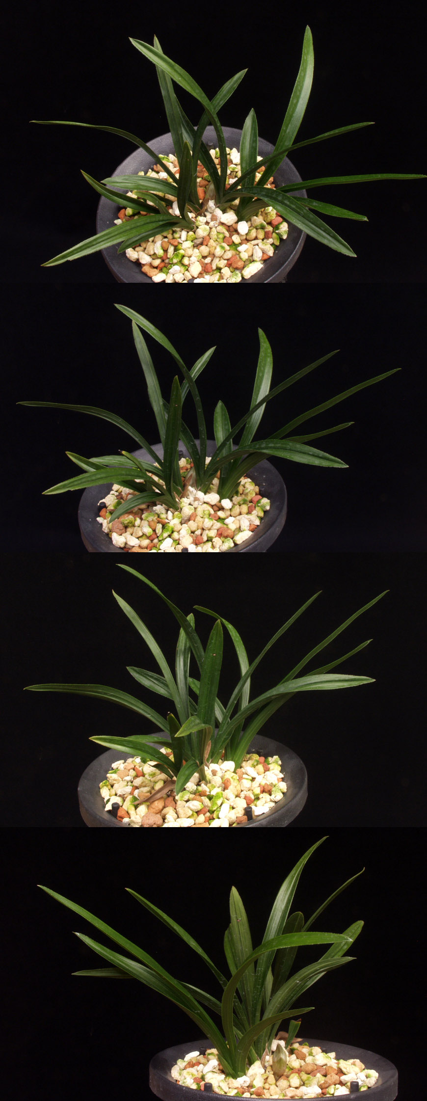 ������ ū������ �� �� �ֽ��ϴ�.