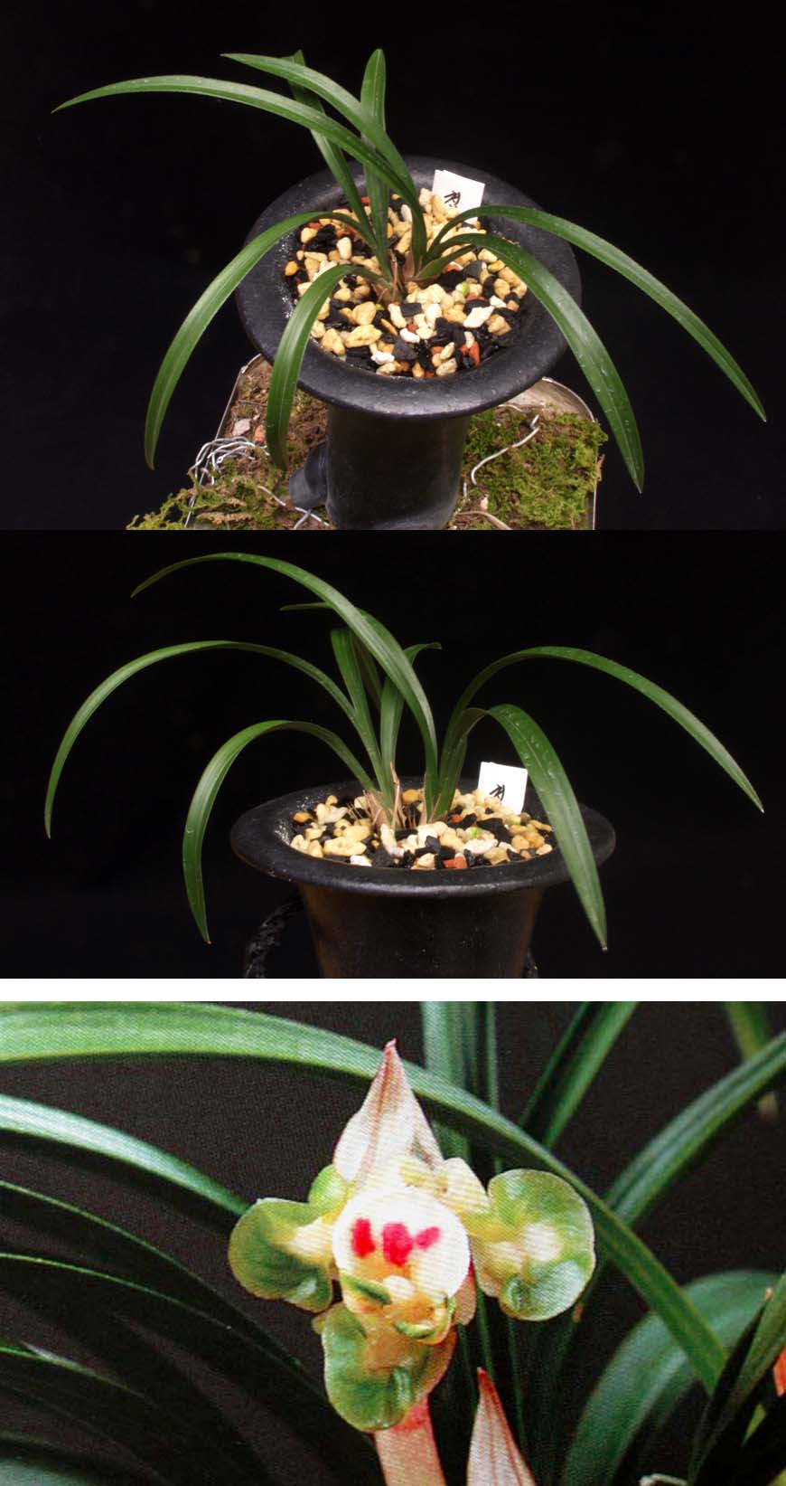 ������ ū������ �� �� �ֽ��ϴ�.