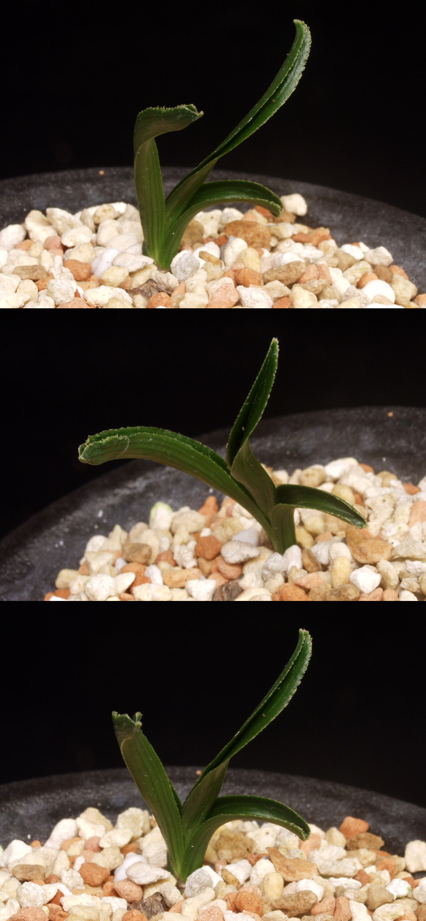 ������ ū������ �� �� �ֽ��ϴ�.