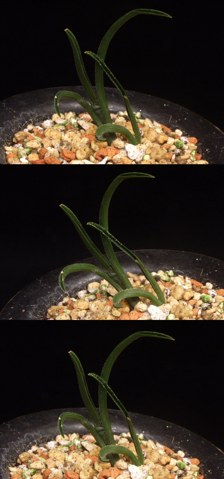 ������ ū������ �� �� �ֽ��ϴ�.