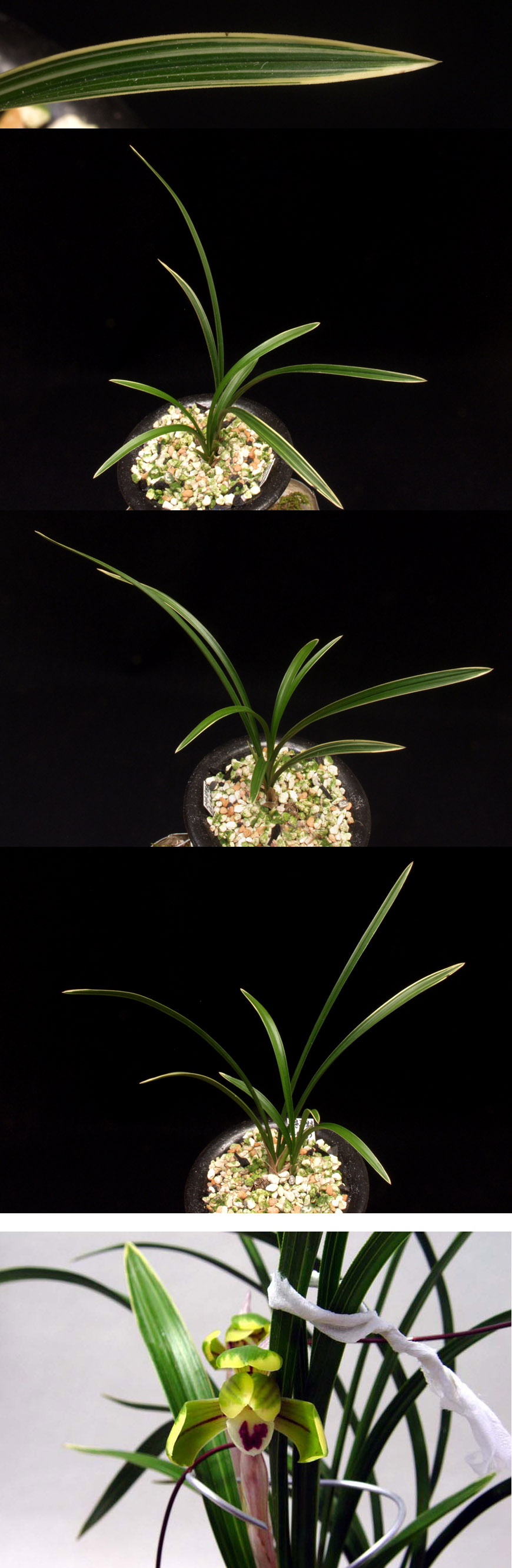 ������ ū������ �� �� �ֽ��ϴ�.