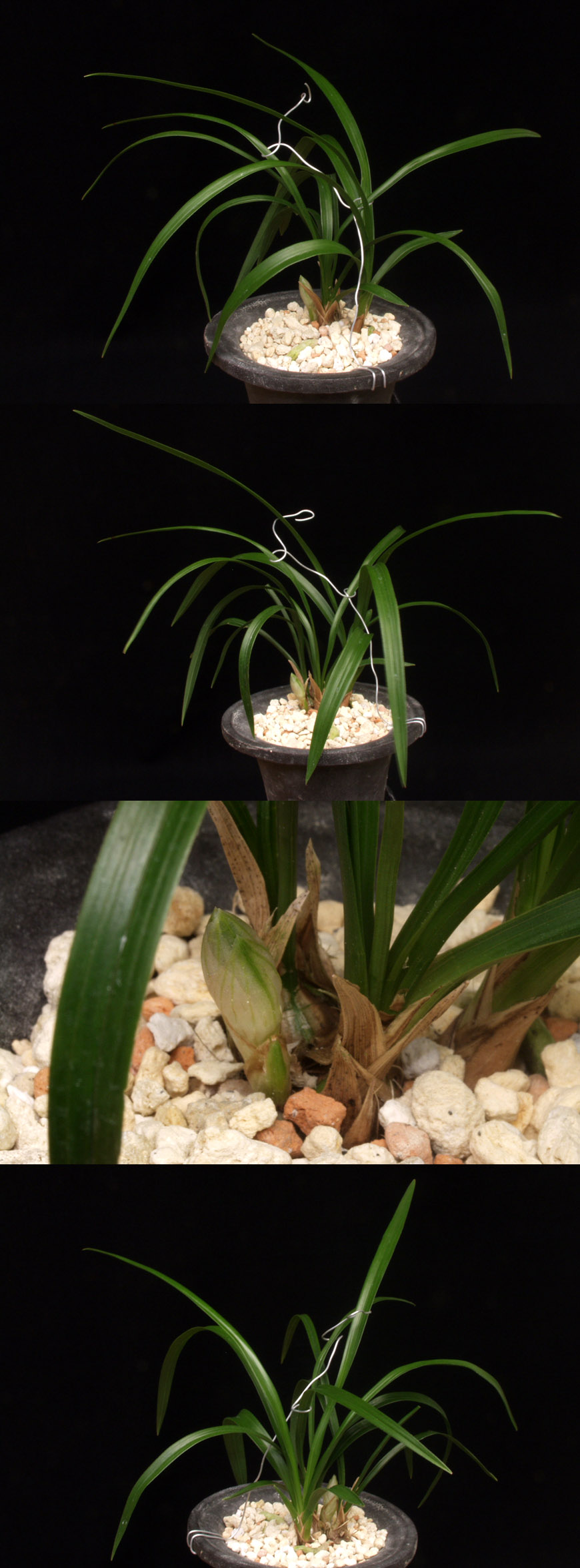 ������ ū������ �� �� �ֽ��ϴ�.