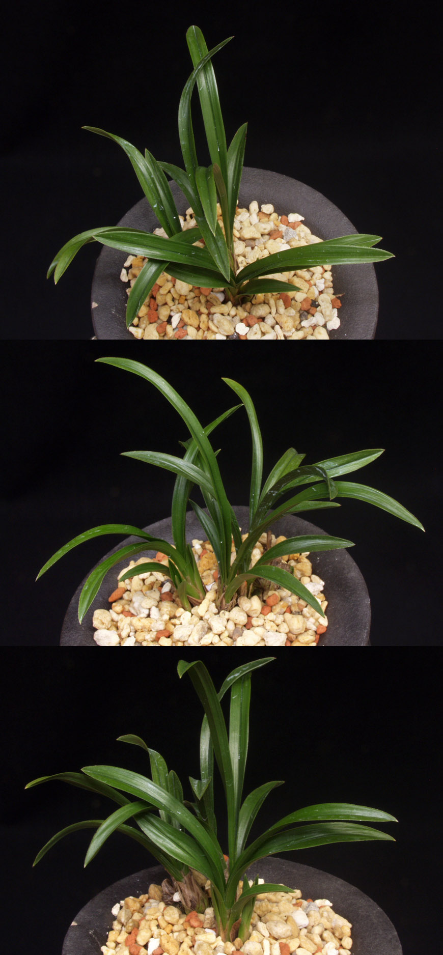 ������ ū������ �� �� �ֽ��ϴ�.