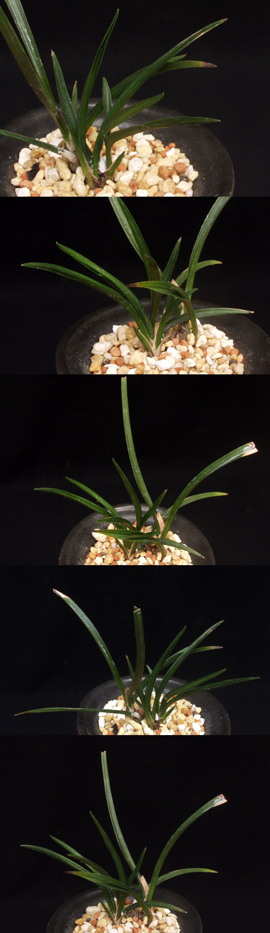 ������ ū������ �� �� �ֽ��ϴ�.