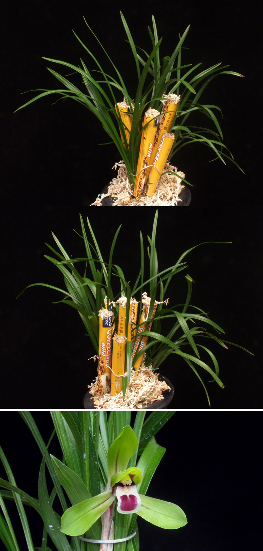 ������ ū������ �� �� �ֽ��ϴ�.