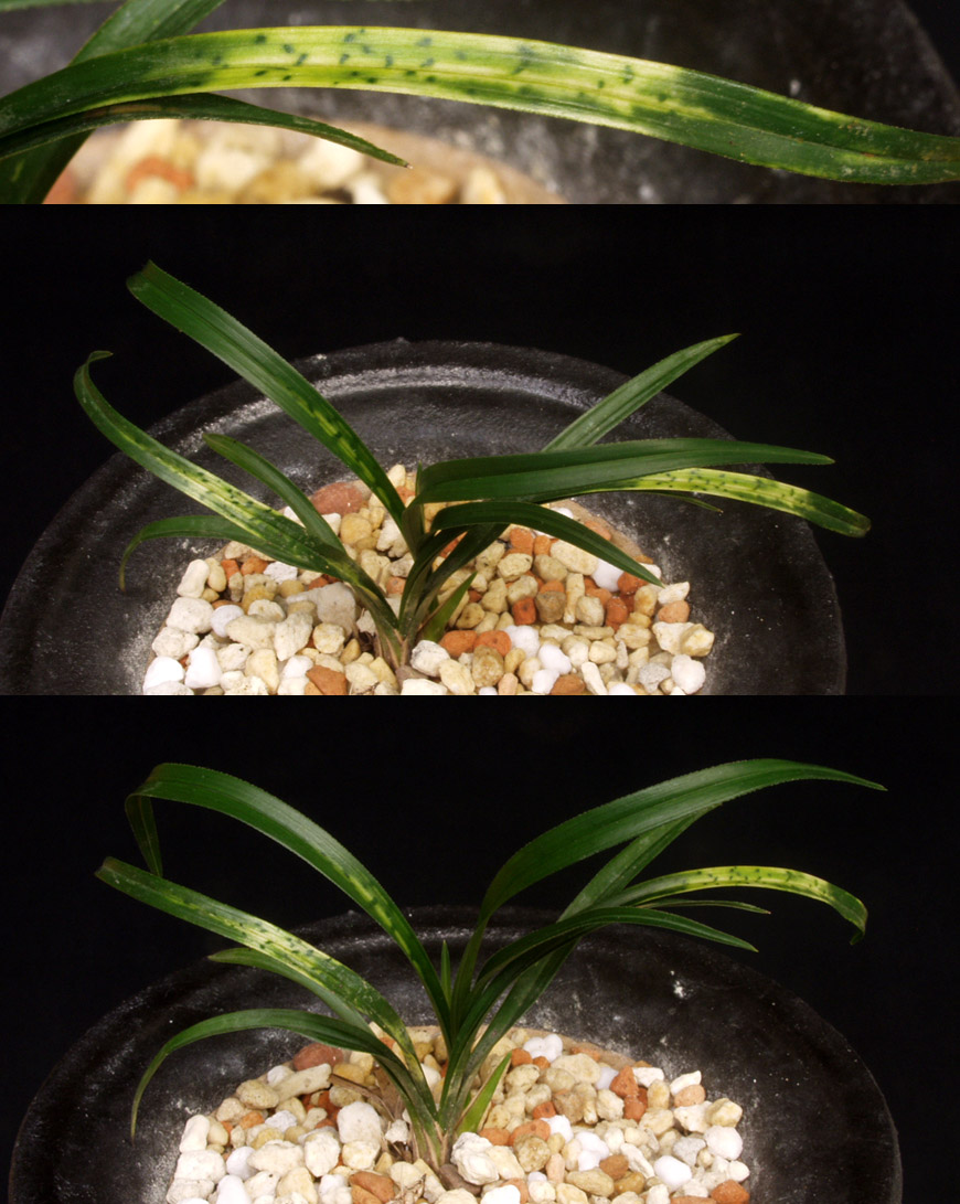 ������ ū������ �� �� �ֽ��ϴ�.