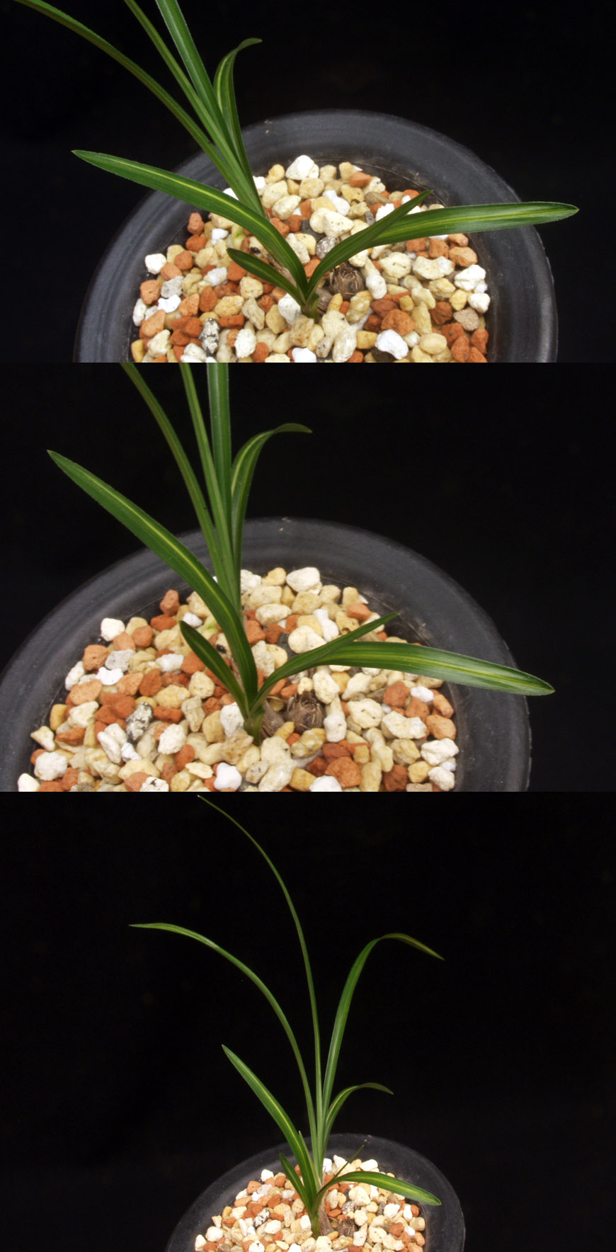 ������ ū������ �� �� �ֽ��ϴ�.