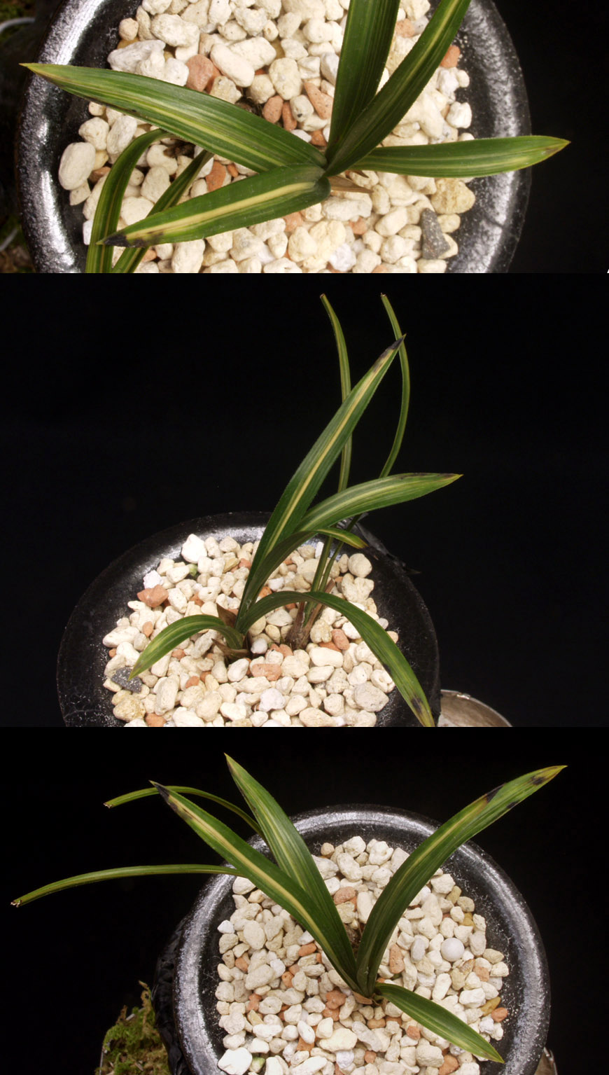 ������ ū������ �� �� �ֽ��ϴ�.