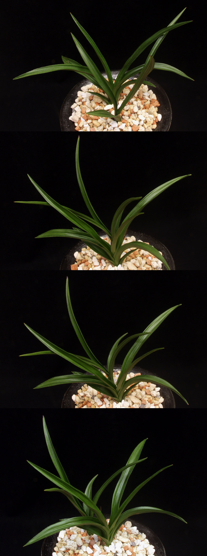 ������ ū������ �� �� �ֽ��ϴ�.