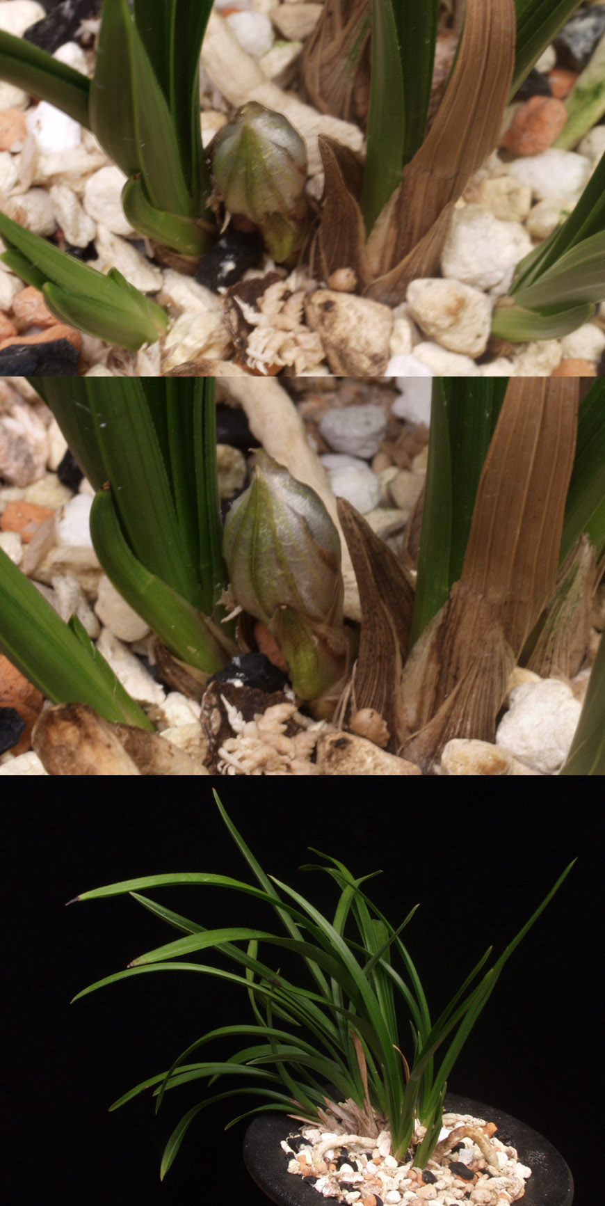 ������ ū������ �� �� �ֽ��ϴ�.