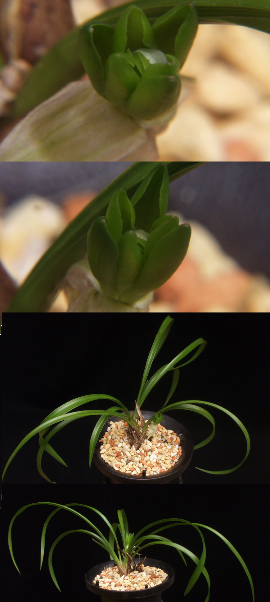 ������ ū������ �� �� �ֽ��ϴ�.