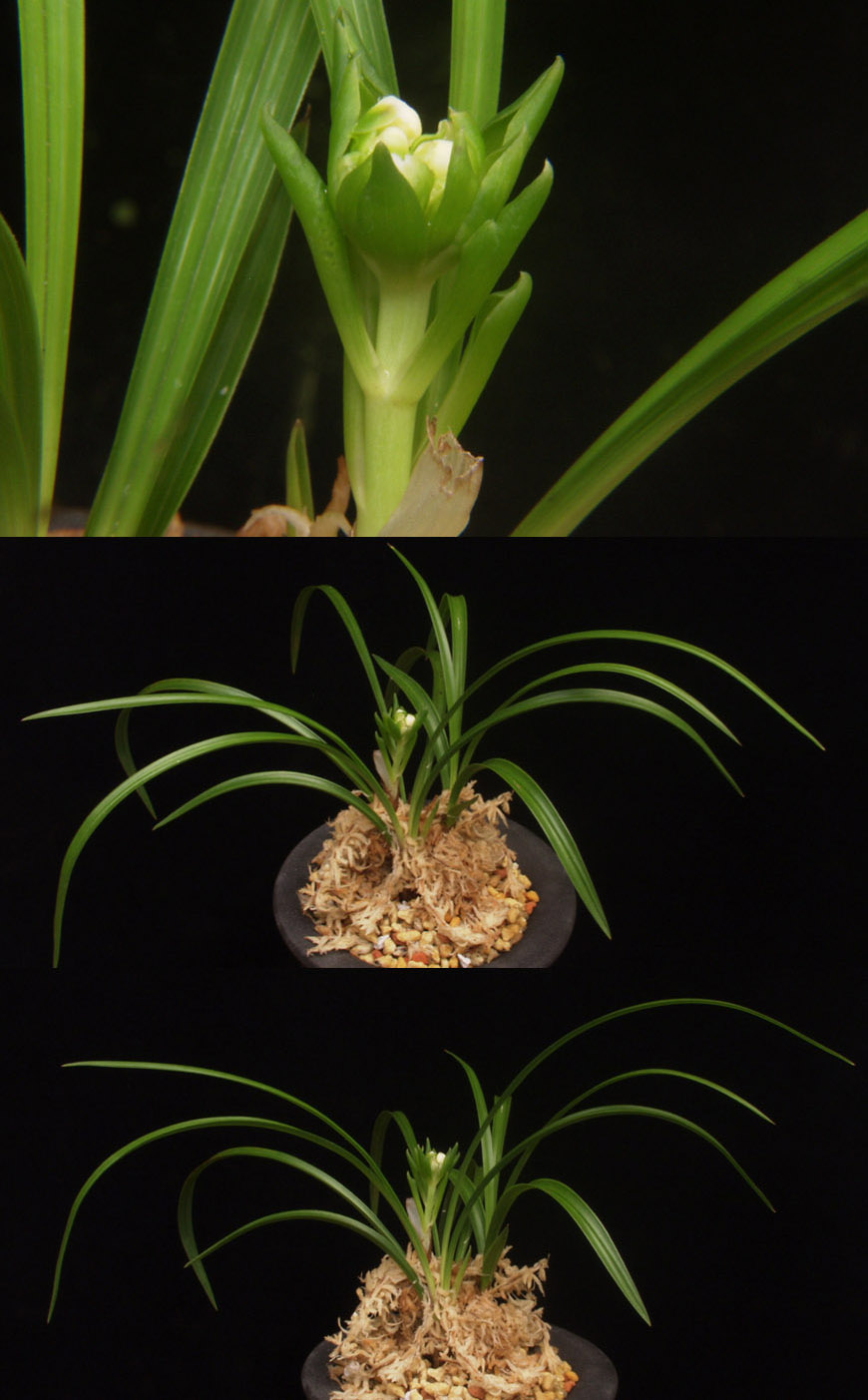 ������ ū������ �� �� �ֽ��ϴ�.