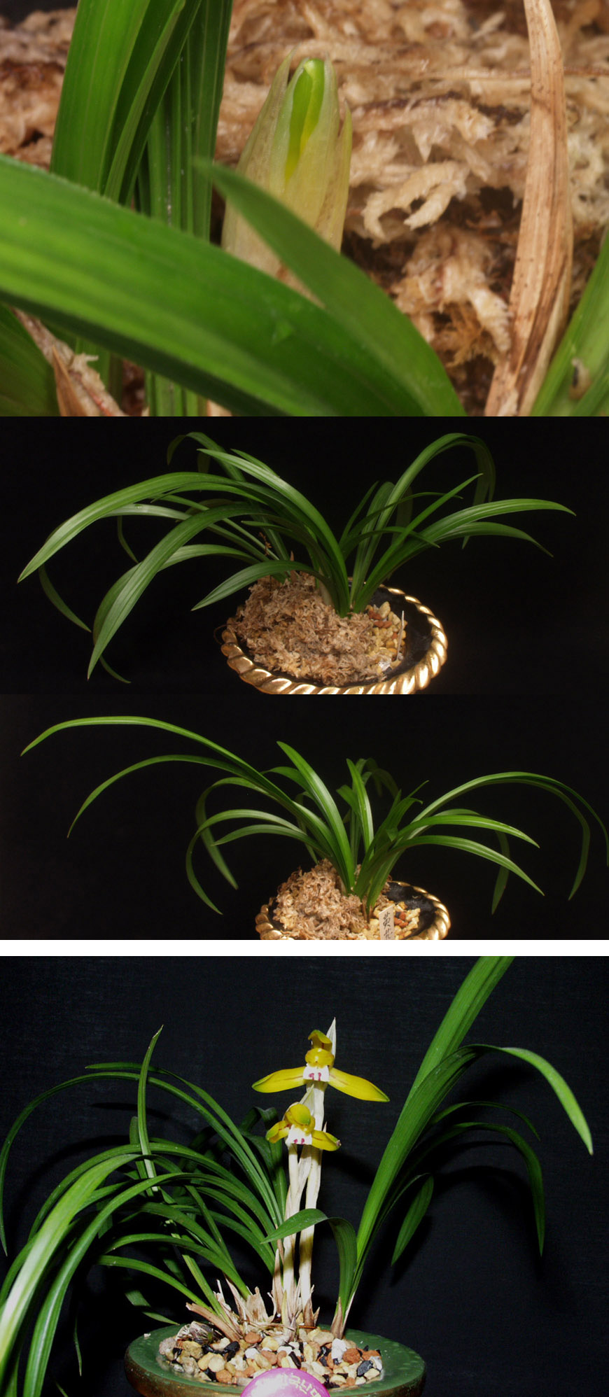 ������ ū������ �� �� �ֽ��ϴ�.