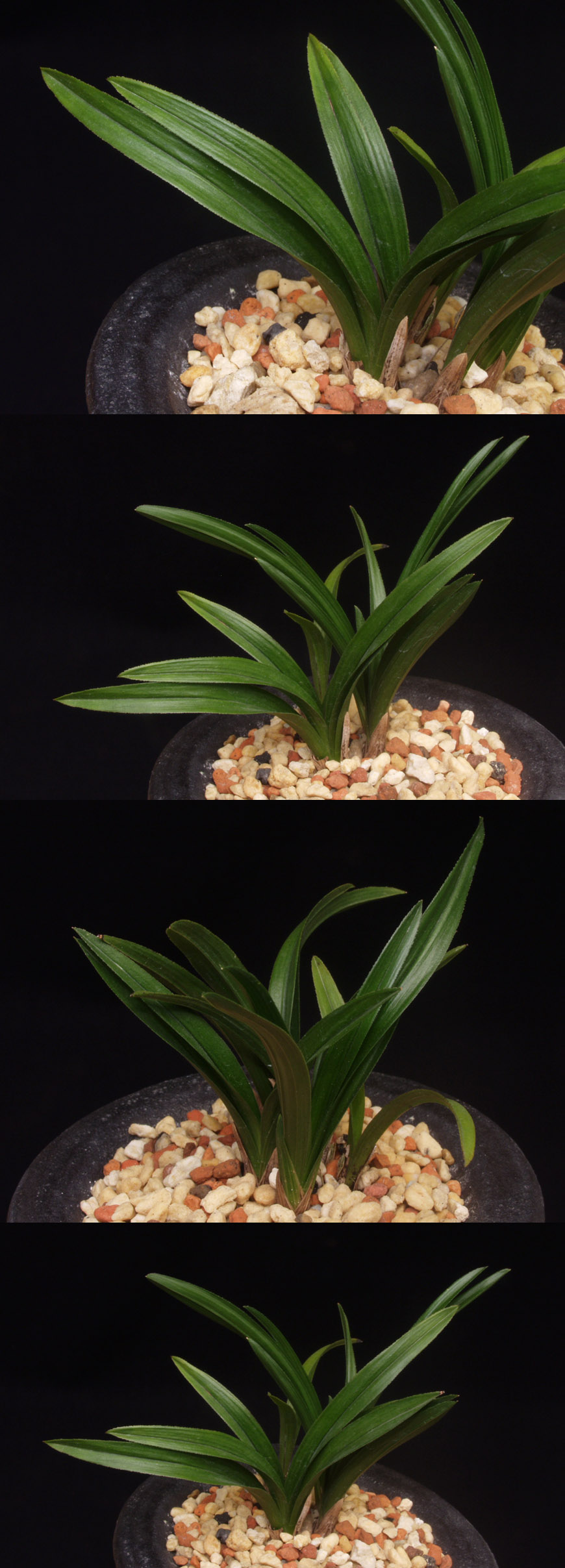 ������ ū������ �� �� �ֽ��ϴ�.