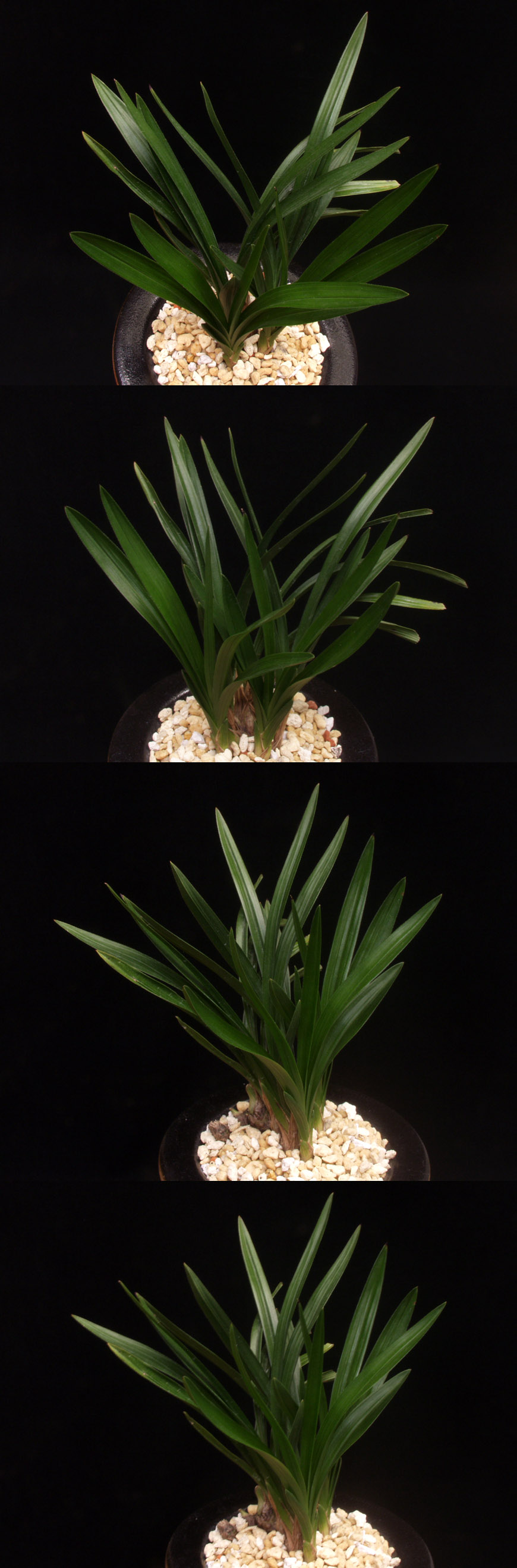 ������ ū������ �� �� �ֽ��ϴ�.