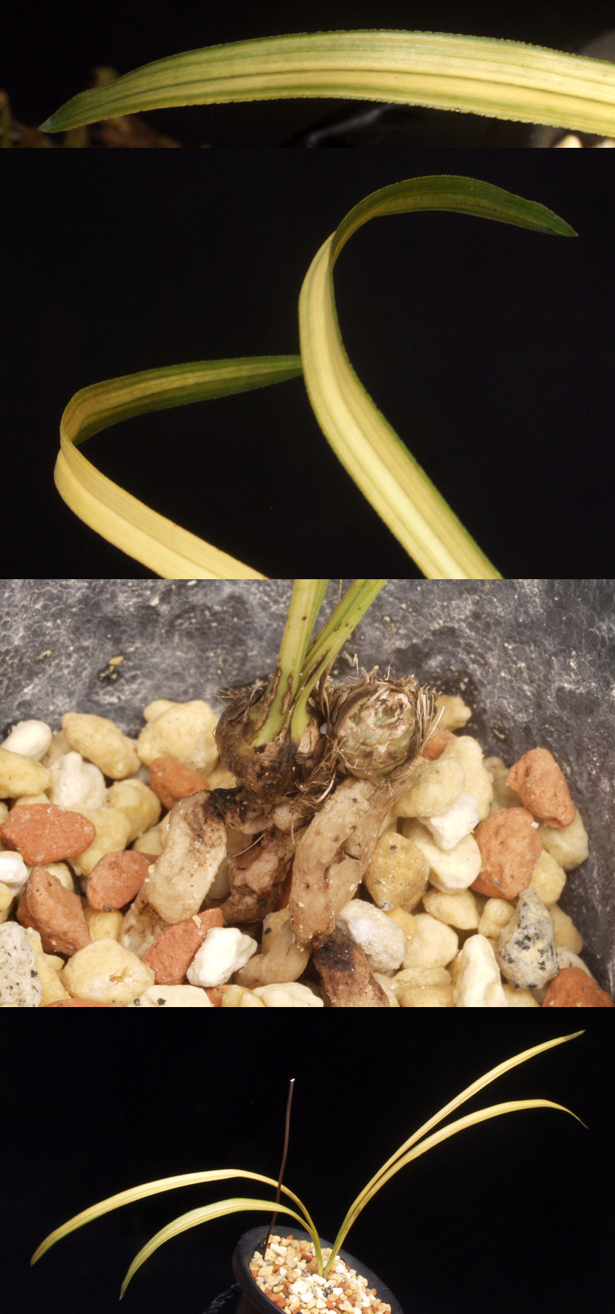 ������ ū������ �� �� �ֽ��ϴ�.