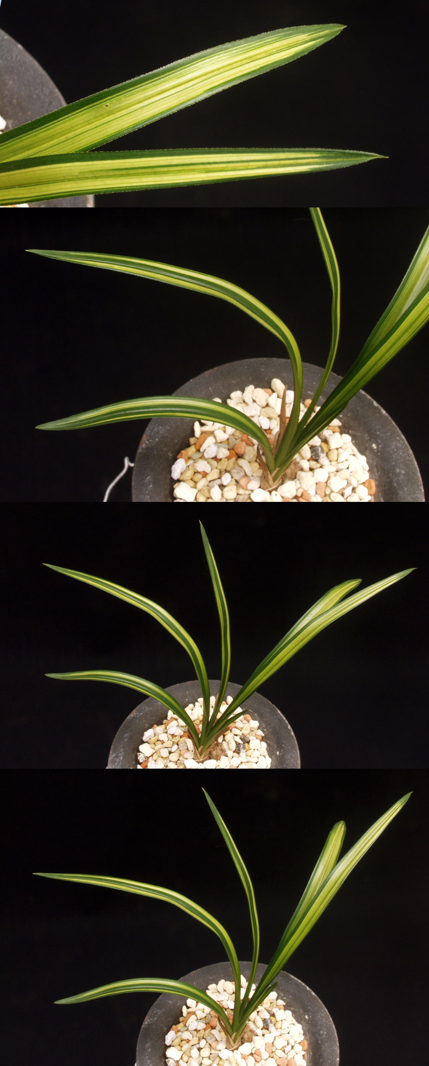 ������ ū������ �� �� �ֽ��ϴ�.