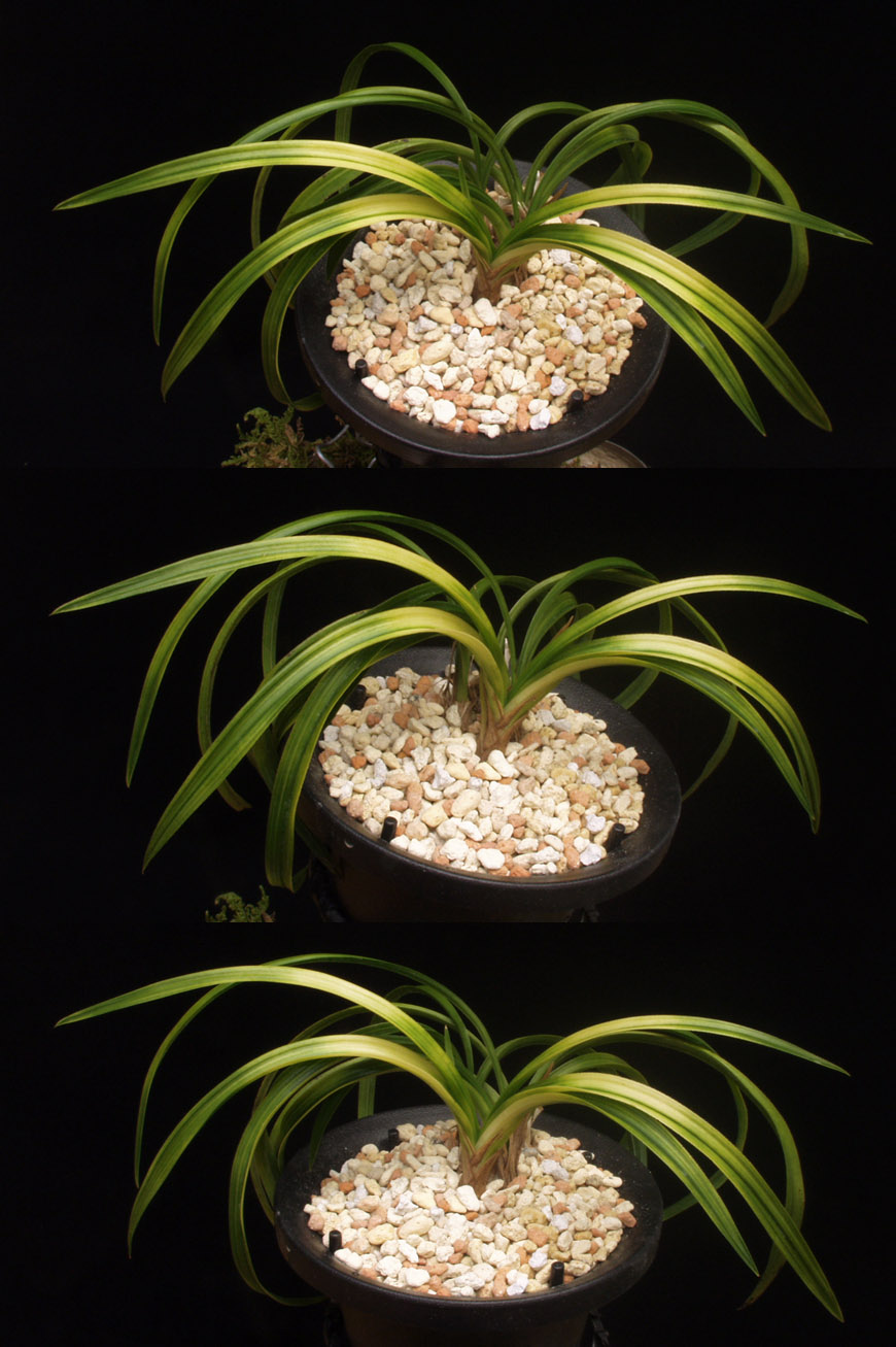 ������ ū������ �� �� �ֽ��ϴ�.