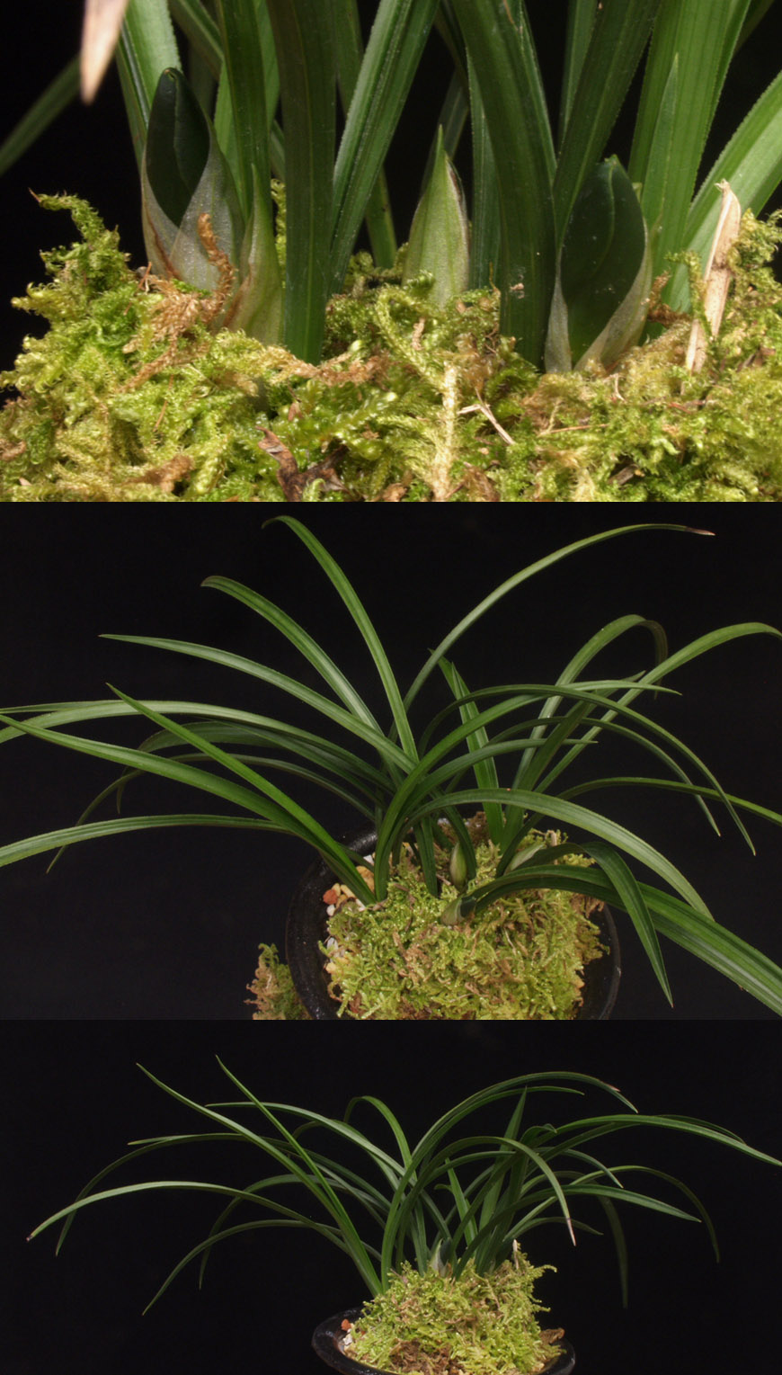 ������ ū������ �� �� �ֽ��ϴ�.