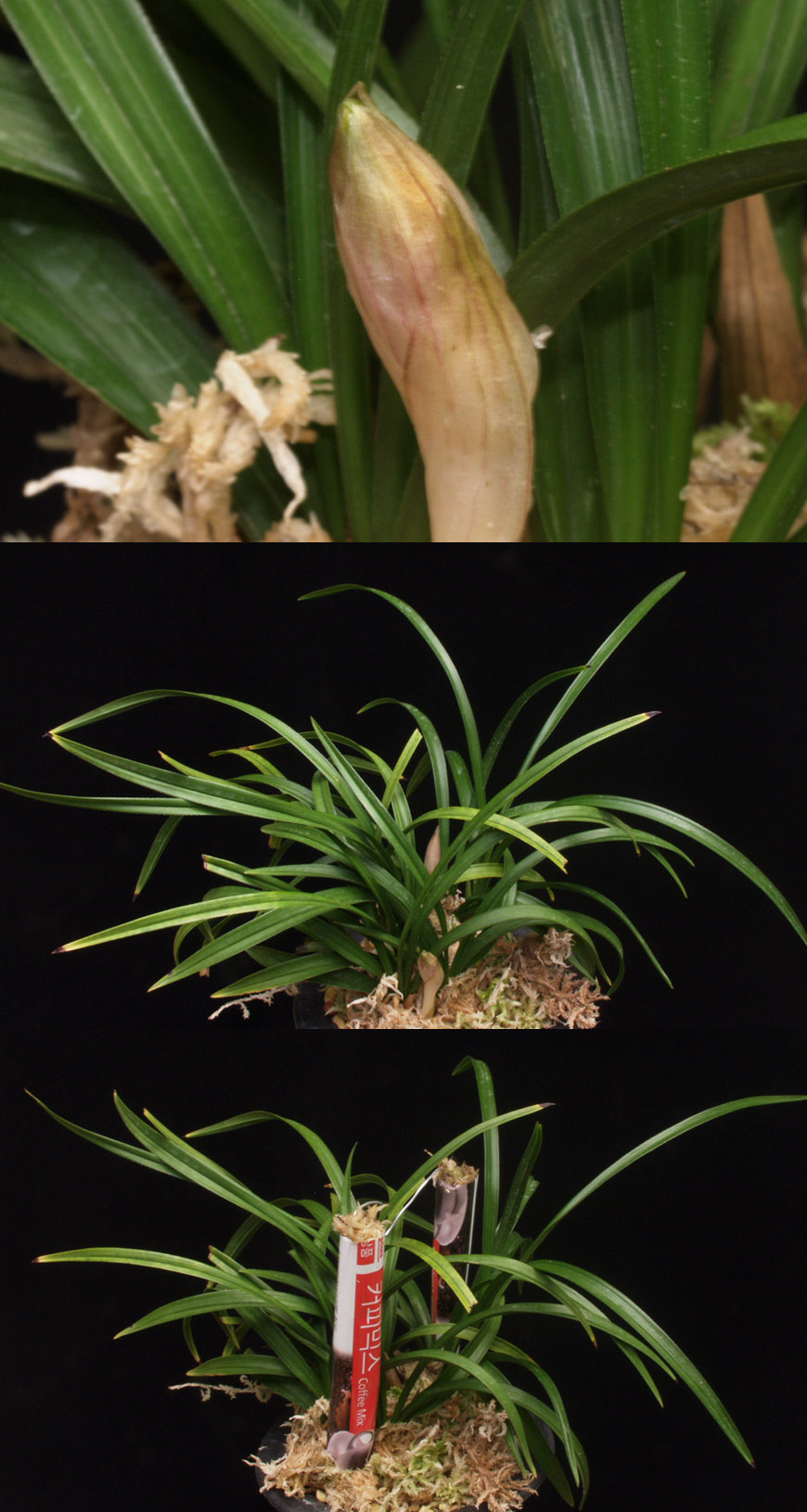 ������ ū������ �� �� �ֽ��ϴ�.