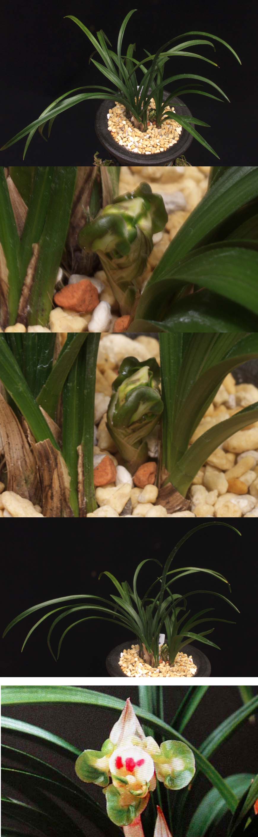 ������ ū������ �� �� �ֽ��ϴ�.